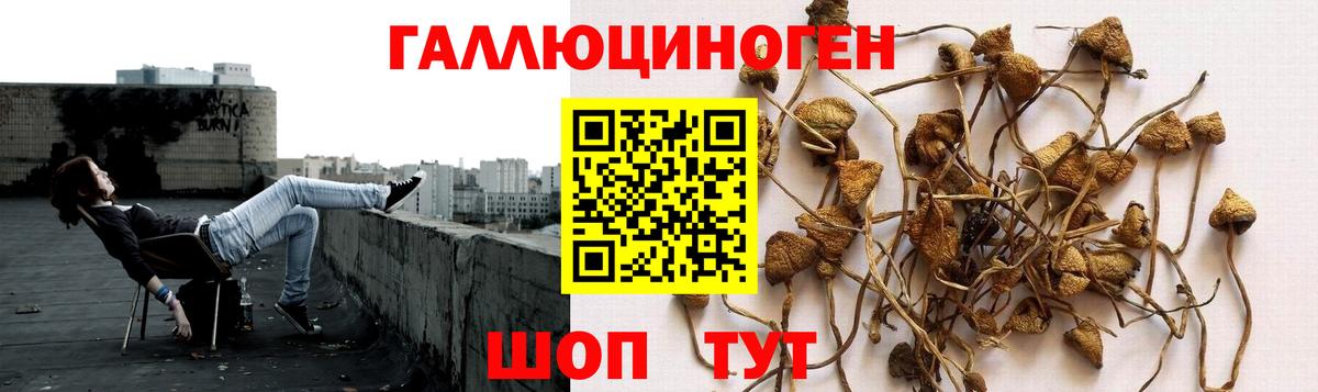 Галлюциногенные грибы мицелий Донецк